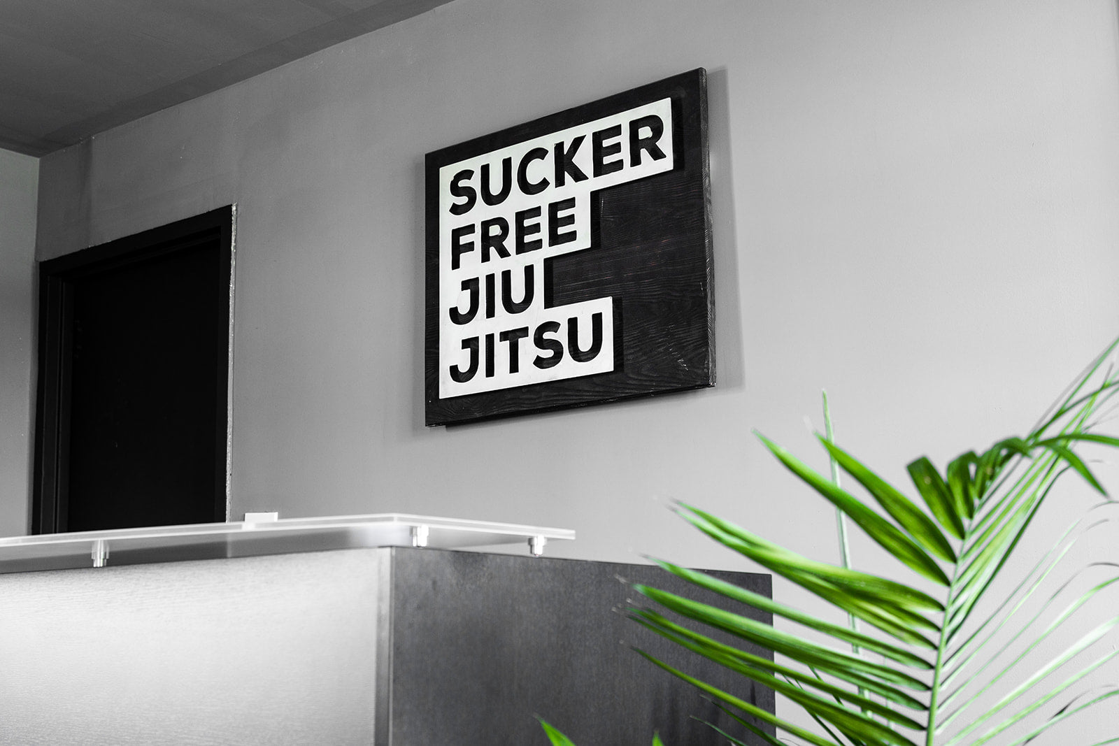 The classic Sucker Free Jiu Jitsu block logo sits on a wall behind the coaches' desk. Everything in the studio is themed grey, black and white. The only color that pops is the vibrant green from the plants throughout the studio.